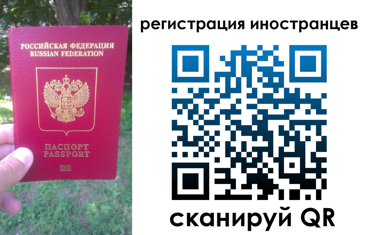 прописка в Пионерском