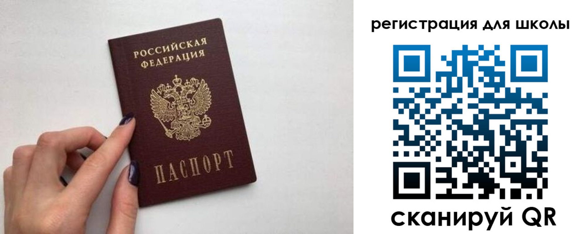 прописка поиск в Пионерском